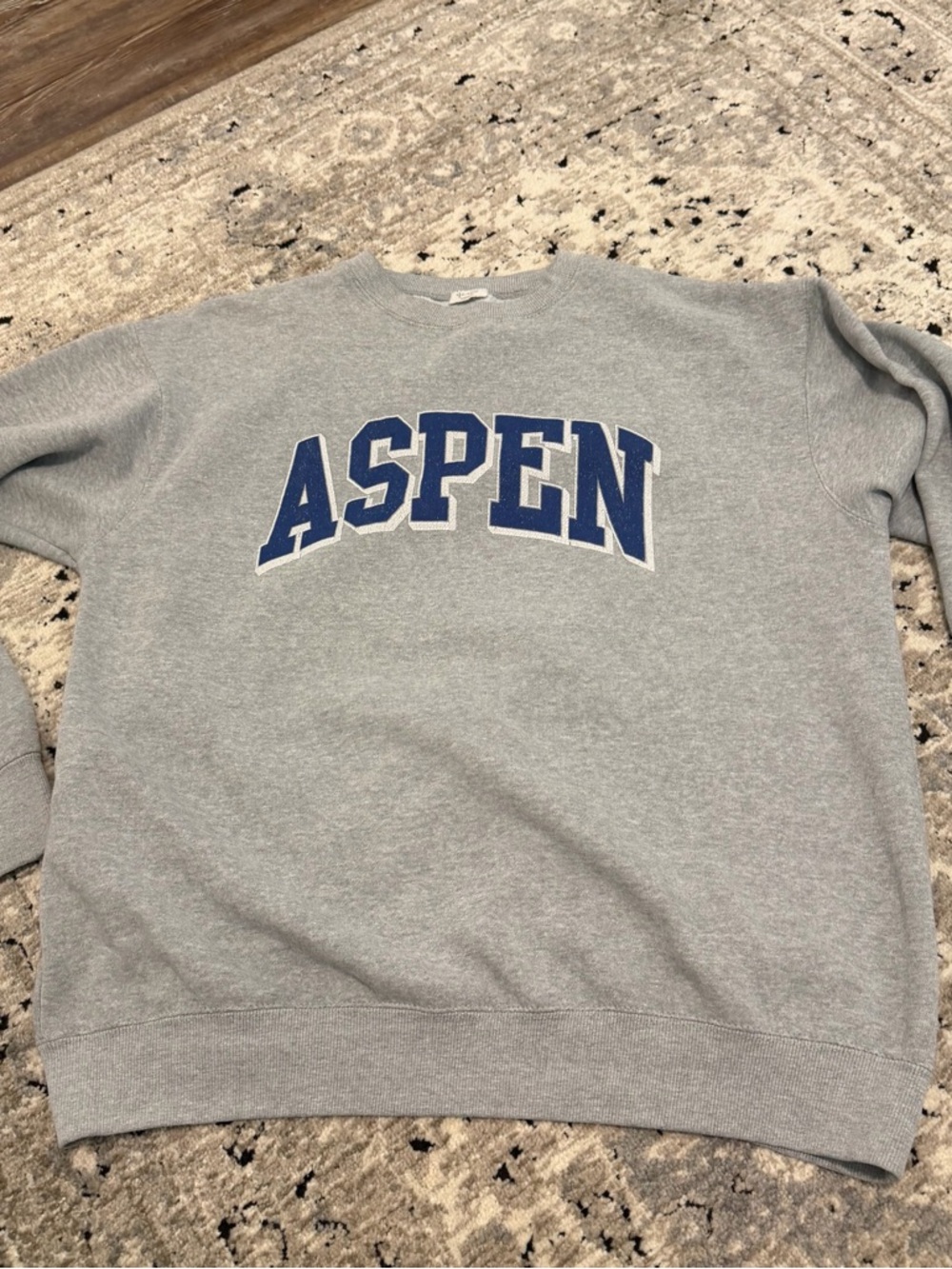Brandy Melville Gray Crewneck Sweatshirt with Blue Aspen Graphic